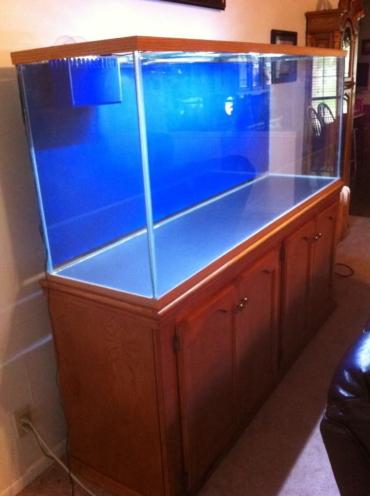 Custom Tank Builders? Reef Central Online Community